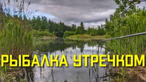 Утренний карась при смене погоды