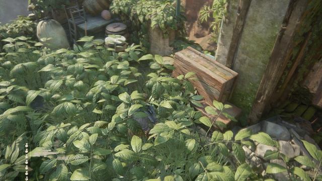 UNCHARTED™: Наследие воров. Коллекция - прохождение с BlackCatLEO (ч.14)