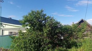 А НЕ ИСПЕЧЬ ЛИ СЫРНИКОВ🤔КУПИЛА МАССАЖЁР ДЛЯ ШЕИ 👍👍👍