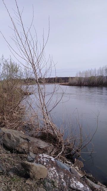 ✔Рыбалка🎣 на реке🌊. Часть 1✔