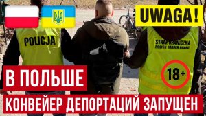 В Европе конвеер депортаций набирает обороты! 22 поляка депортированы! Новые выдворения украинцев!