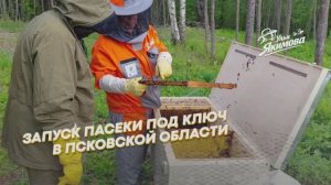 Запуск Пасеки под ключ в псковской области