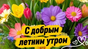 С добрым летним утром – красивая музыкальная открытка с пожеланиями. Скачайте бесплатно