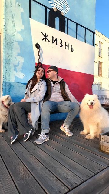 Love story в Севкабеле с двумя милыми самоедами смотреть онлайн