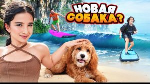 🍿 АМИНА ПРОСИТ НОВУЮ СОБАКУ 🤯 НАУЧИЛИСЬ СЕРФИТЬ 🤩 НОВЫЙ ОТЕЛЬ!!! VLOG