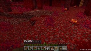 SVID_20260530_202904_1.mp4