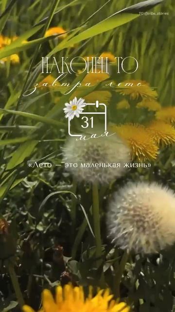 31 мая 2026
