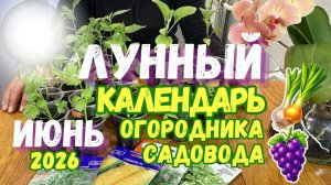 Лунный Календарь Посадок на Июнь 2026 по Фазам Луны Благоприятные Дни