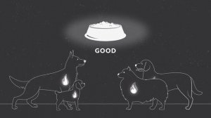 45. Powers of the soul: A closer look (Aquinas 101)