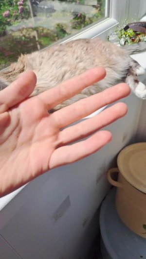 oo