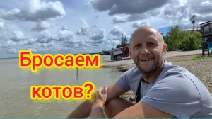 Бросаем КОТОВ при переезде?/Нечего ЕСТЬ/Дом, который мы СНИМАЛИ/Погода и МОРЕ в конце МАЯ/Коты