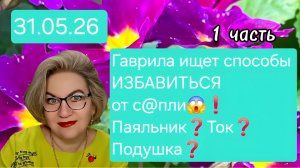 1 часть. Гаврила ищет способы ИЗБАВИТЬСЯ ОТ С@ПЛИ😱❗️Паяльник❓️Ток❓️Подушка❓️
