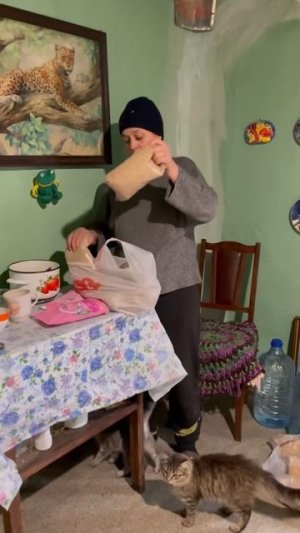 Кушанье для кисок.