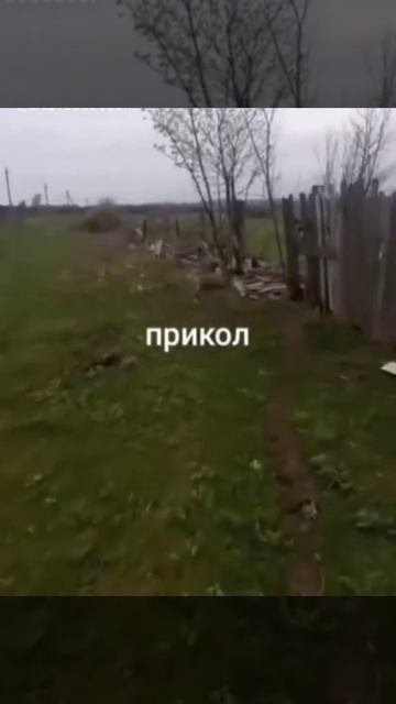 прикол про барана бяшу смотреть онлайн