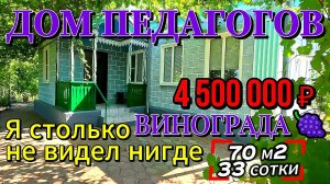 🏡Два Дома + много ВИНОГРАДА🍇 70 м2🦯33 сотки🦯4 500 000 ₽🦯ст. Канеловская🦯89245404992 Виктор🌴