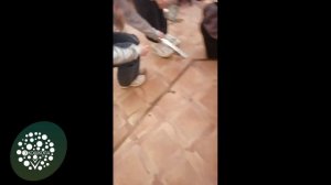 Завершающее занятие  проекта «Первые шаги первой помощи» посвятили оценке физического здоровья