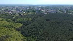 Ульяновская обл.