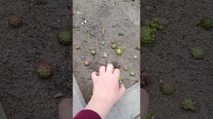 1434.mp4