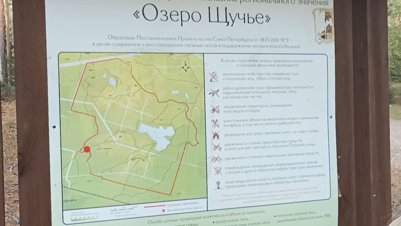 Тропа здоровья _Щучье озеро смотреть онлайн