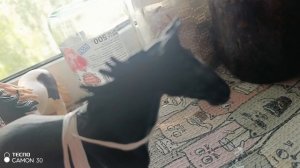Новости сегодня 📰