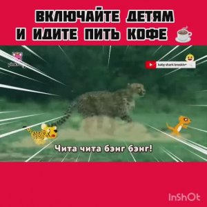 Мультики для детей Пингфонг #детям #мультики