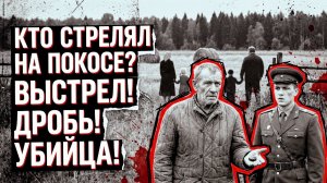 КТО СТРЕЛЯЛ НА ПОКОСЕ | Детектив | Аудио рассказ
