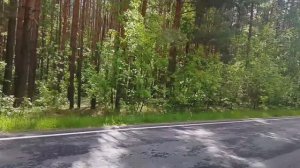 Еду в село Репьёвку.