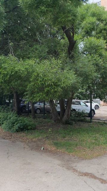 ПРОГУЛКА С ДЕТЬМИ смотреть онлайн