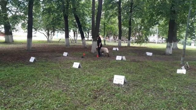 РО-4. Степанова Светлана и ЛУЧ. 