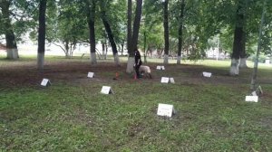 РО-4. Степанова Светлана и ЛУЧ. «Кубок Панды 2026 по Ралли Обидиенс онлайн»