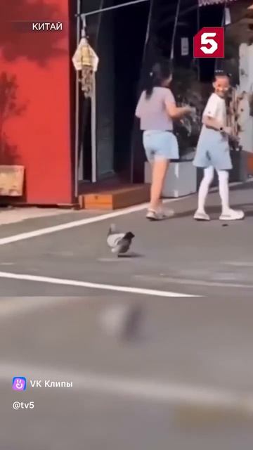 1000010037.mp4