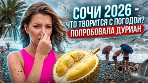 СОЧИ 2026 - ЧТО ТВОРИТСЯ С ПОГОДОЙ? / ПОПРОБОВАЛА ДУРИАН  / День города  #сочи #всеосочи