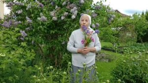С Днём Святой Троицы! С днем рождения христианской Церкви! 🌿🌿🌿