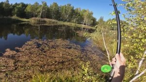 РЫБАЛКА НА ПОПЛАВОЧНУЮ УДОЧКУ