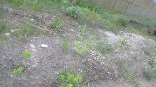 MVI_5000 смотреть онлайн