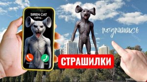 КОТ СИРЕНОГОЛОВЫЙ SIREN OIIAOIIA. СТРАШИЛКИ.