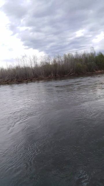 ✔Рыбалка🎣 на реке🌊. Часть 3✔