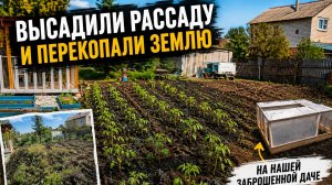 ОГОРОД С НУЛЯ, ВЫСАЖИВАЕМ РАССАДУ, ПЕРЕКОПАЛИ ЗЕМЛЮ/А РАБОТЫ НА ДАЧЕ ЕЩЁ МНОГО...
