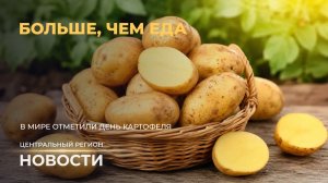 Новости. Центральный регион | Преображение Дзержинска | День картофеля | Спичечная империя