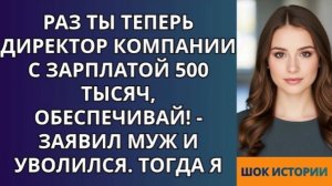 Раз ты теперь директор компании с зарплатой 500 тысяч, обеспечивай!   заявил муж и уволился!