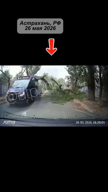 УРАГАН В РОССИИ: В АСТРАХАНИ ПОГИБ КРАНОВЩИК, ДЕРЕВЬЯ РУХНУЛИ НА АВТОМОБИЛИ И МАРШРУТКУ смотреть онлайн