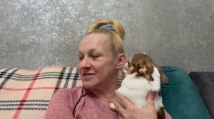 Немного наших дел, не все получается как задумано.
