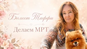 Таффи стало хуже, едем на МРТ. Болеет собака.