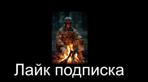 Dayzwill