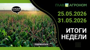 Итоги недели с ГлавАгроном 25.05.2026 – 31.05.2026