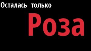 Роза 🌹 выросла