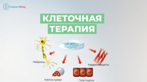 Клеточная терапия. Уникальный опыт лечения аутоиммунных заболеваний от проф. Брюховецкого А.С.