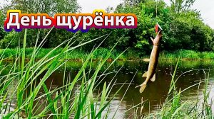 Рыбалка на спиннинг на щуку на реке. День щурёнка