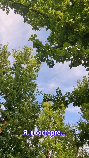 Пейзаж