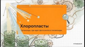Биология 10 класс § 23 Типы клеточного питания Фотосинтез и хемосинтез
